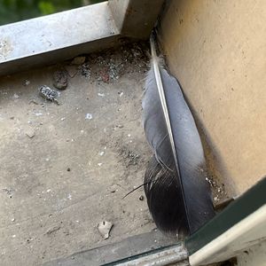 免费在线观看AV网站
